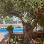 Alojamiento El Olivo